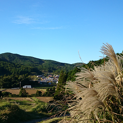 上の平（かみのひら）について